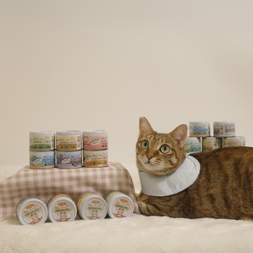 吶一口 無榖機能主食泥罐 60g 主食罐-細節圖6