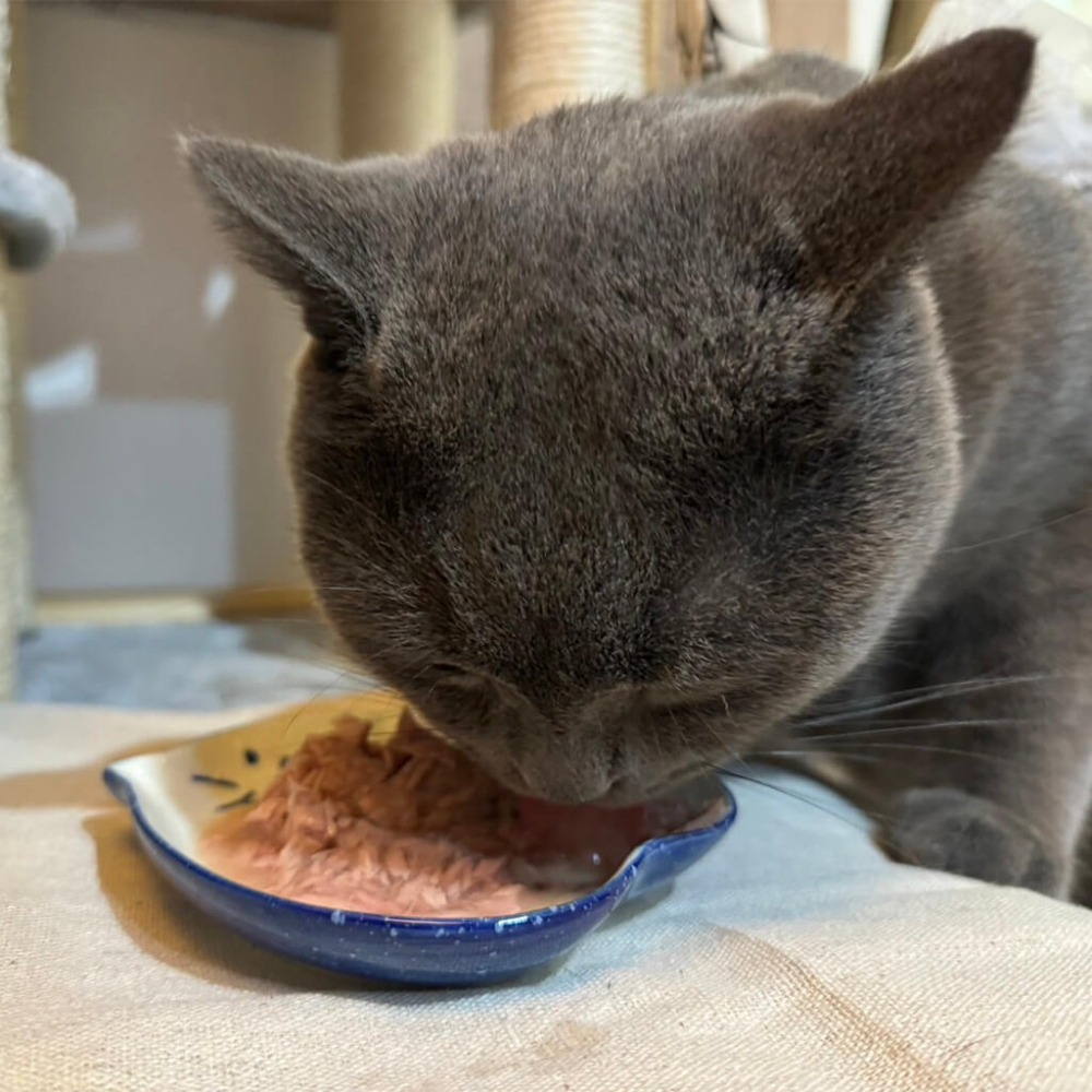 吶一口 貓湯罐 80g 湯罐 貓咪罐頭 副食罐 補水-細節圖5