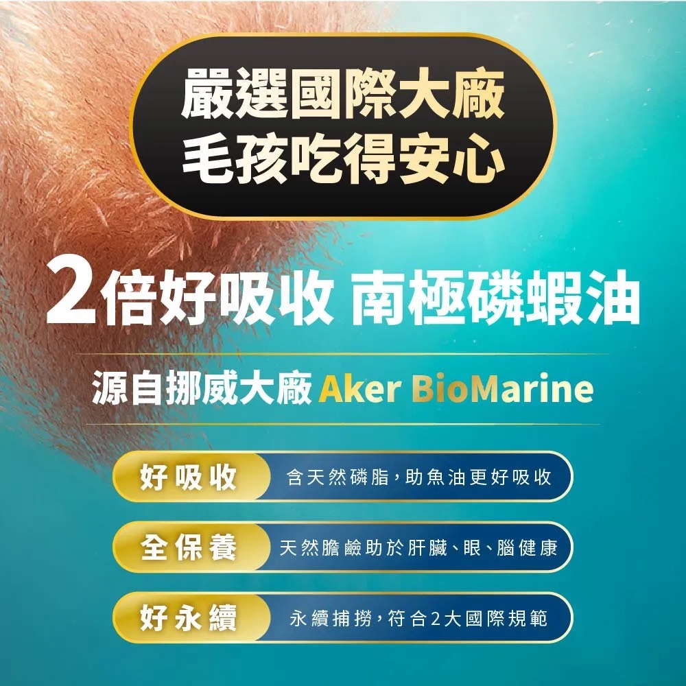 【毛掌醫學】磷蝦魚油 速餵壓瓶 | 爆毛神器 犬貓適用 16ml-細節圖5
