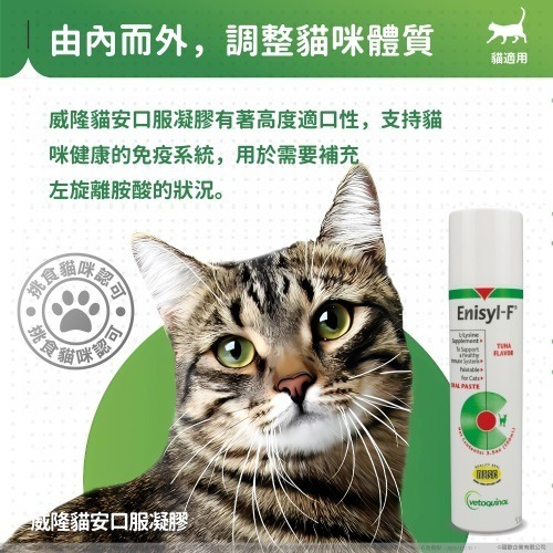 威隆 貓安口服凝膠100ML-細節圖2