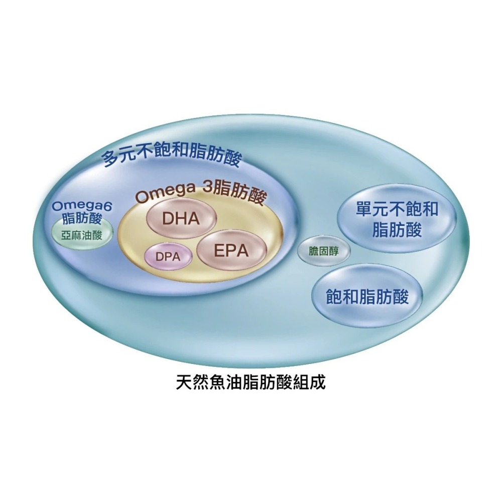 大研生醫 保健系列 頂級魚油EX/葉黃素EX/苦瓜胜肽EX/EPA魚油EX-細節圖5