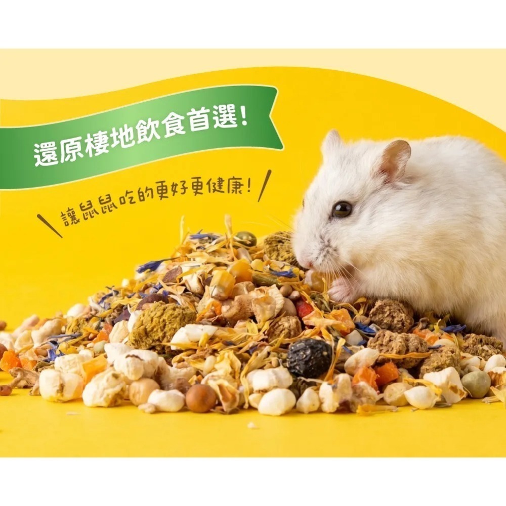 【花媽寵物用品店】角落水族 倉鼠主食 天然糧倉-細節圖3