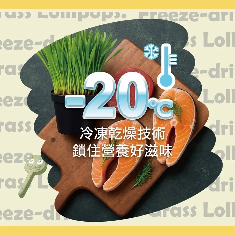 歐姆貓 糖果喵凍乾棒棒糖 三種口味 單支包裝 / 40入盒裝-細節圖3