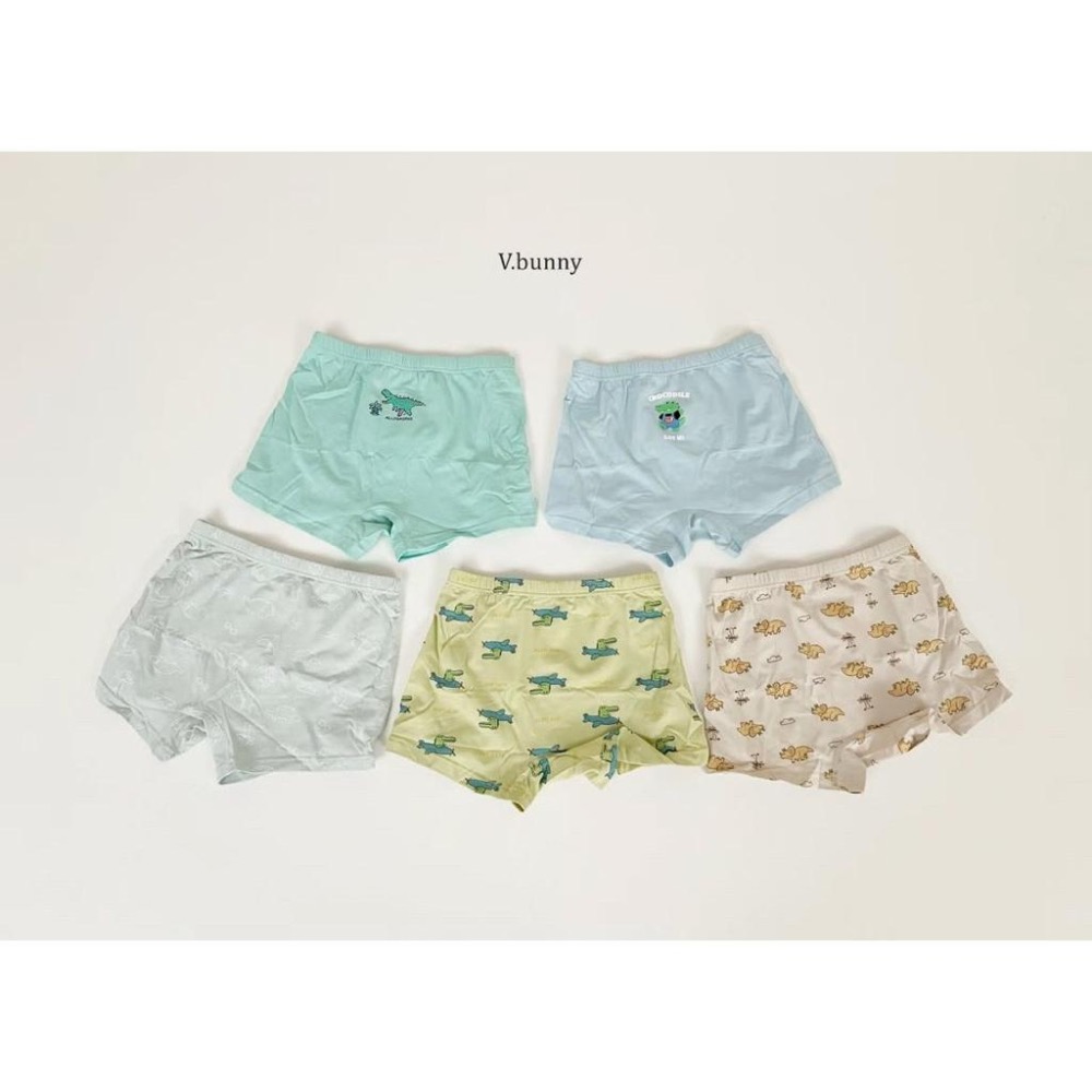 韓國兒童家居服 v-bunny純綿男童四角褲 男童內褲5件組-細節圖8