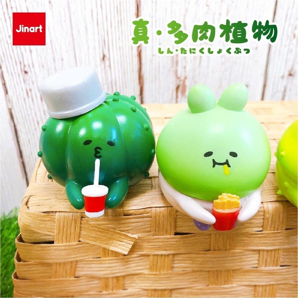 JINART 真多肉植物 正版 盲盒 盒玩 泡泡殿盲盒小舖 ☀現貨☀-細節圖3