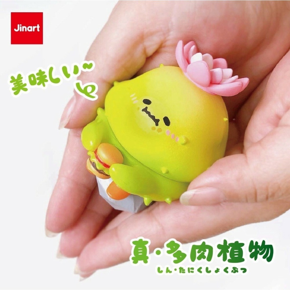 JINART 真多肉植物 正版 盲盒 盒玩 泡泡殿盲盒小舖 ☀現貨☀-細節圖5