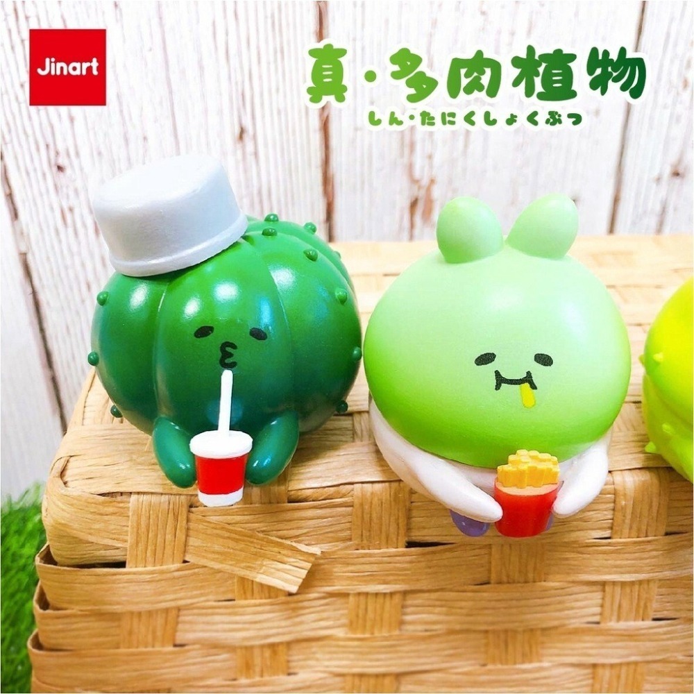 JINART 真多肉植物 正版 盲盒 盒玩 泡泡殿盲盒小舖 ☀現貨☀-細節圖3