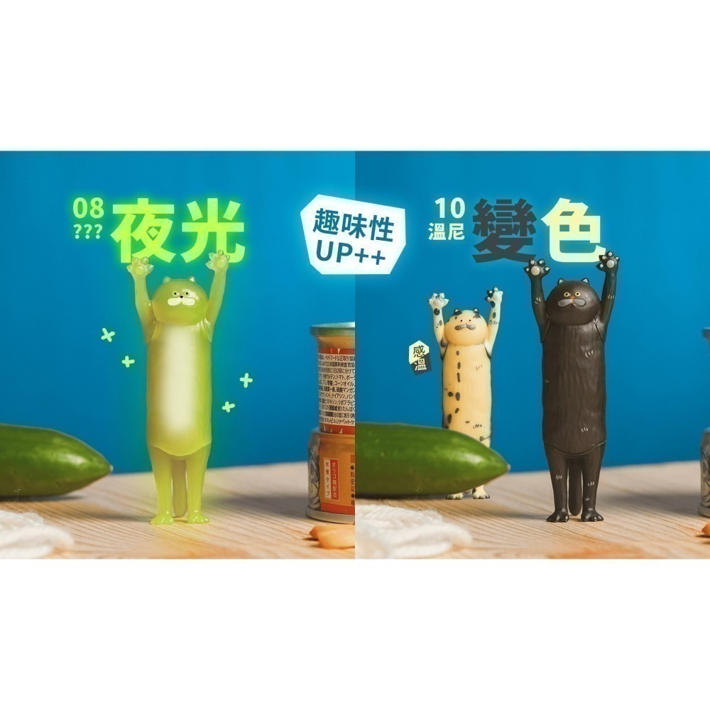 路遙圓創 貓的抱抱系列 正版 盲盒 盒玩 泡泡殿盲盒小舖 ☀現貨☀-細節圖6