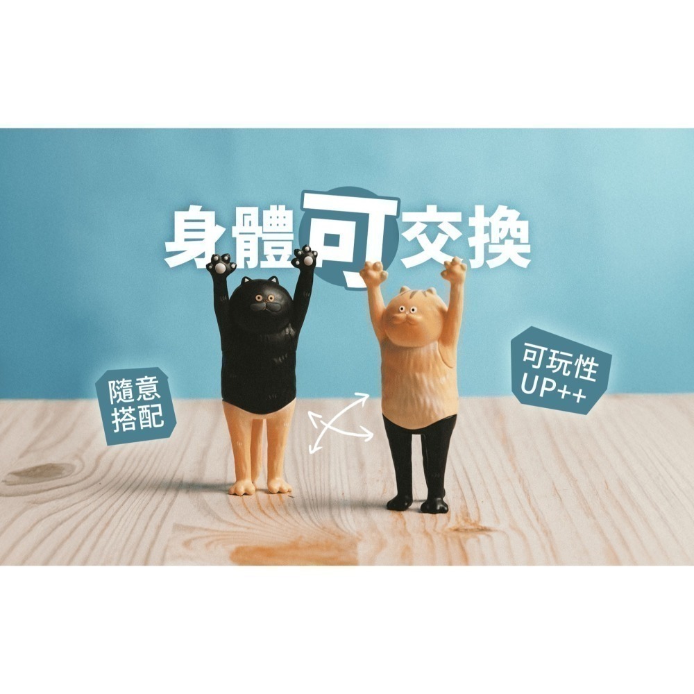 路遙圓創 貓的抱抱系列 正版 盲盒 盒玩 泡泡殿盲盒小舖 ☀現貨☀-細節圖7