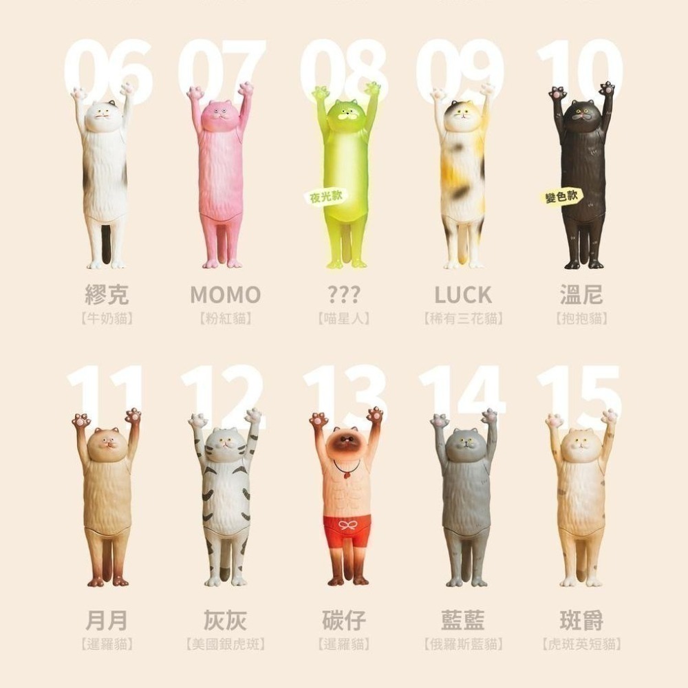 路遙圓創 貓的抱抱系列 正版 盲盒 盒玩 泡泡殿盲盒小舖 ☀現貨☀-細節圖9