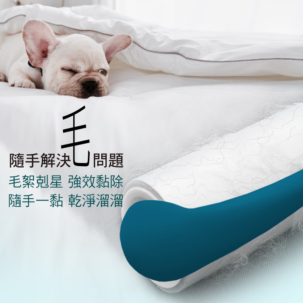 家簡塵除 超值滾筒黏塵清潔組-細節圖2