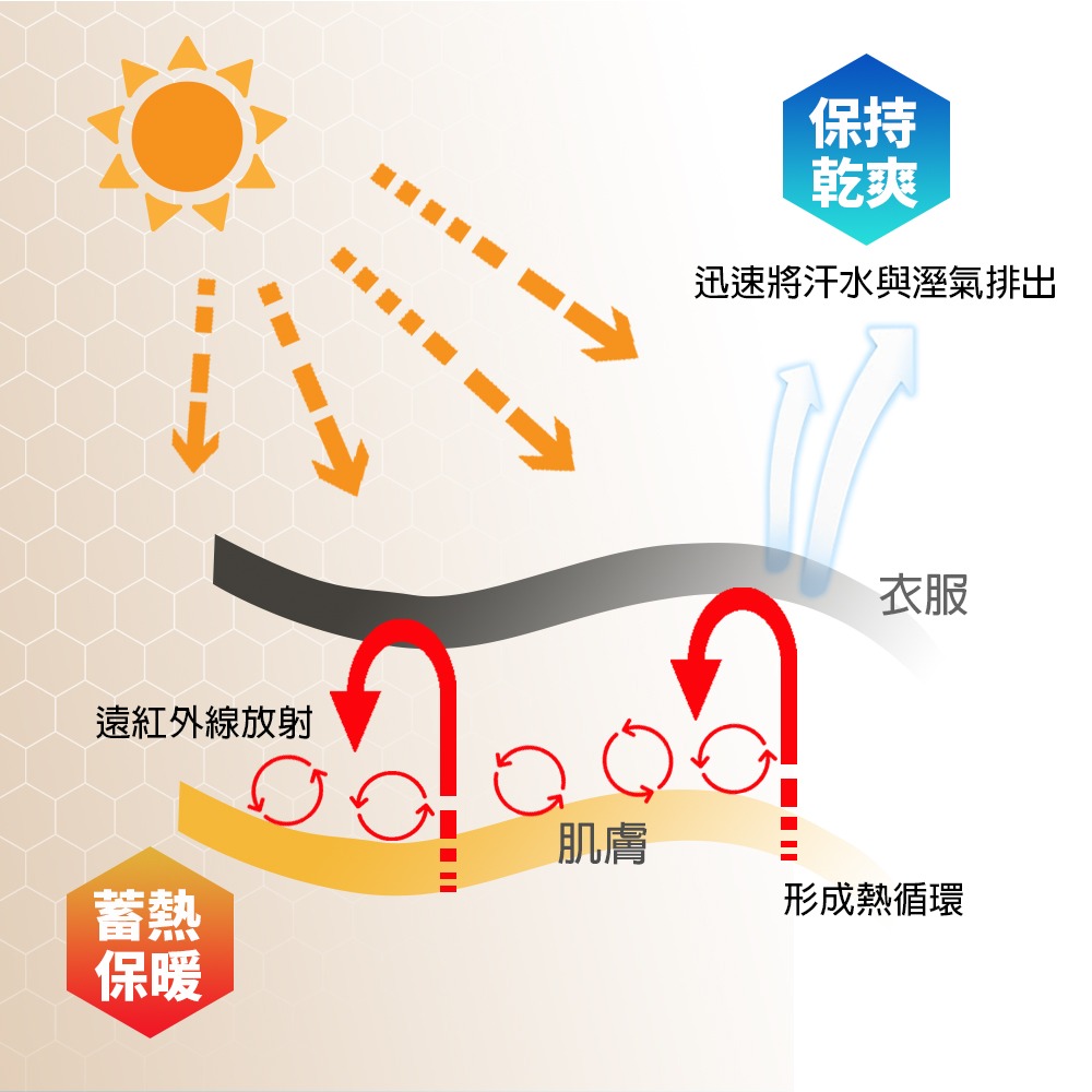 【Paloma】男女款雙磨毛保暖衣 發熱衣 長袖上衣 圓領 V領-細節圖2