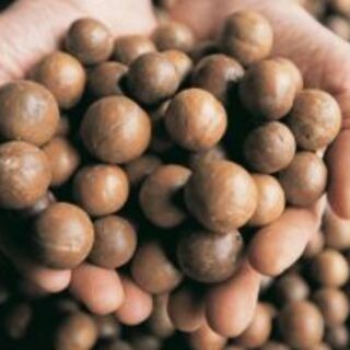 帶殼夏威夷豆（600g/包）👏本年度最新貨夏威夷果-細節圖2