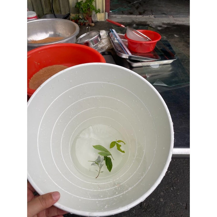 【尋根之橋】預購（老山）經過7749天 測試再升級 純手工（人稱大廟的味道）-細節圖3