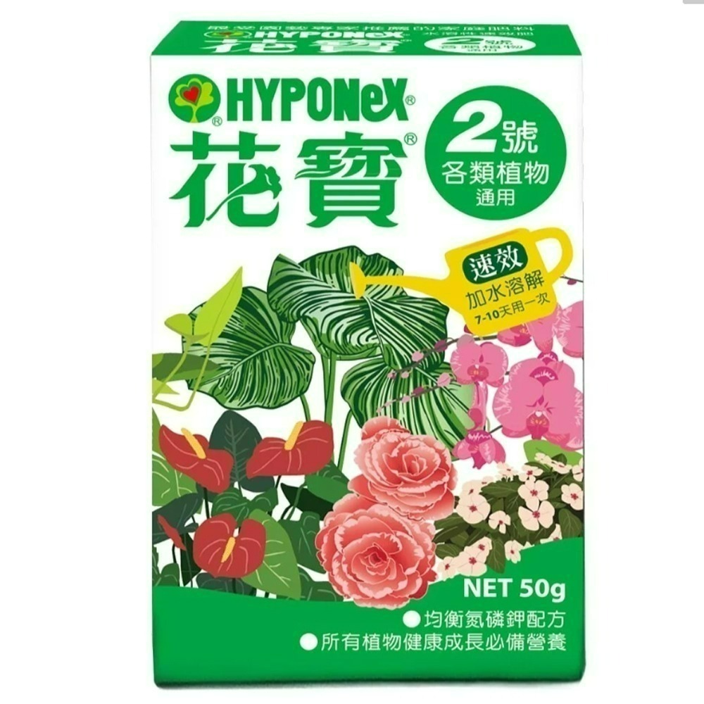 達達園藝 249全館免運 花寶 速效肥 50 150 400g 開花 觀葉 室內 通用肥 均衡肥 多肉 蘭花 鹿角蕨-規格圖1