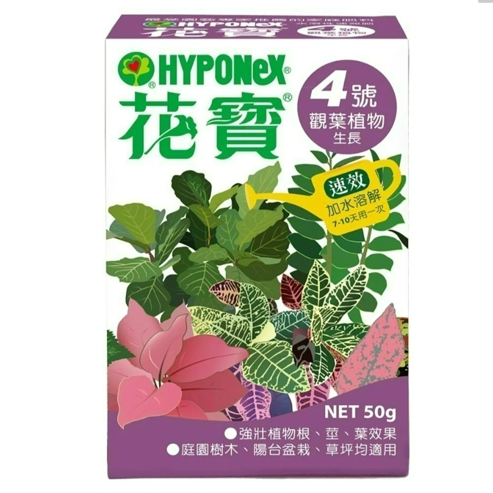 達達園藝 249全館免運 花寶 速效肥 50 150 400g 開花 觀葉 室內 通用肥 均衡肥 多肉 蘭花 鹿角蕨-規格圖1