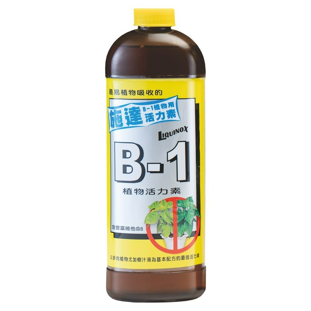 B1