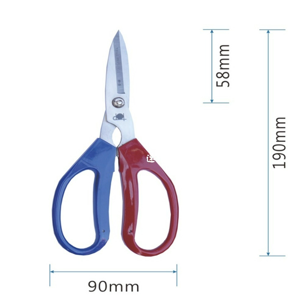 速達園藝 299全館免運 翠筠剪 萬用剪 移植 換盆 修剪 枝條 花園 菜園 家庭 園藝 工具  剪刀-細節圖2