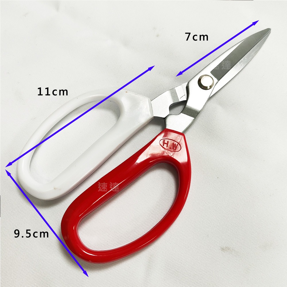 速達園藝 299全館免運 翠筠剪 萬用剪 移植 換盆 修剪 枝條 花園 菜園 家庭 園藝 工具  剪刀-細節圖3