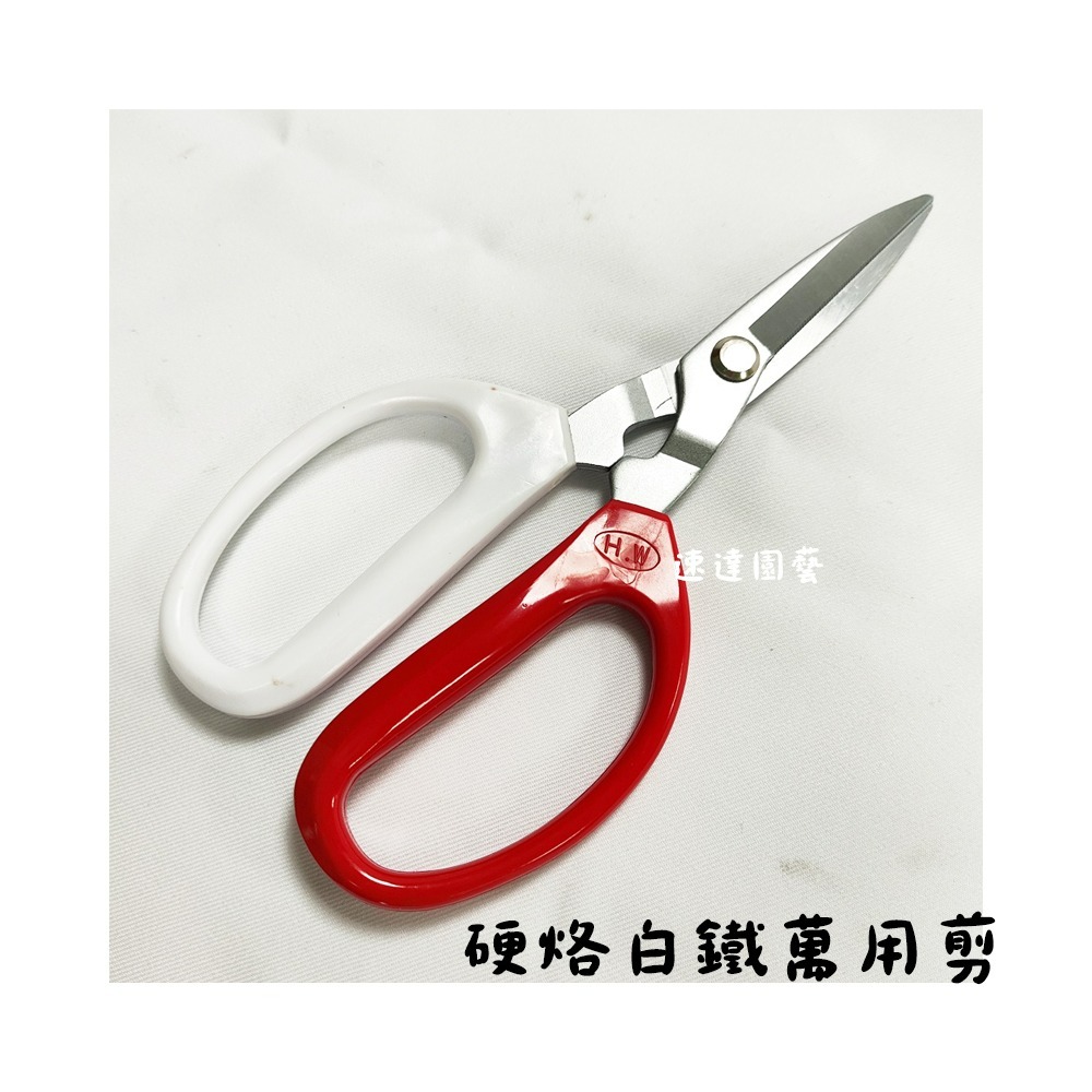 速達園藝 299全館免運 翠筠剪 萬用剪 移植 換盆 修剪 枝條 花園 菜園 家庭 園藝 工具  剪刀-規格圖3