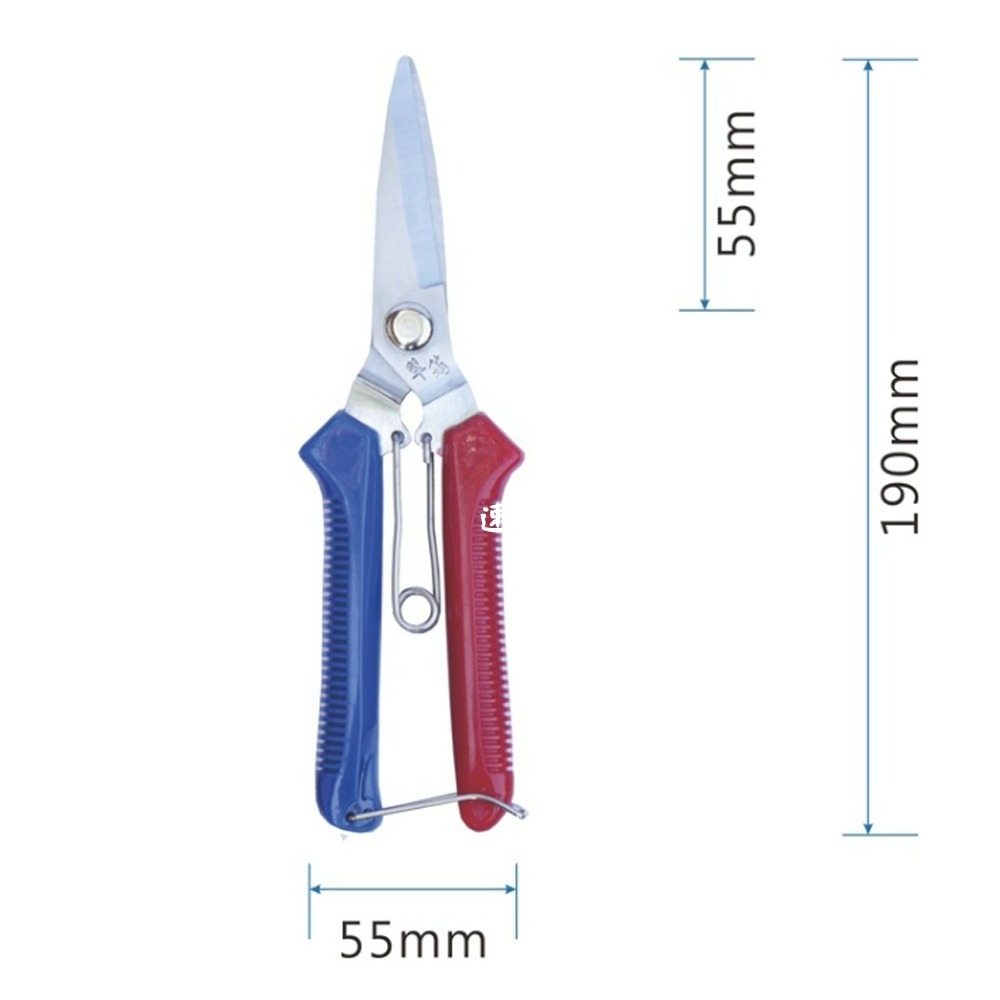 速達園藝 299全館免運 花剪 芽切剪 移植 換盆 修剪 枝條 花園 菜園 家庭 園藝 工具 萬用剪 剪刀-細節圖2