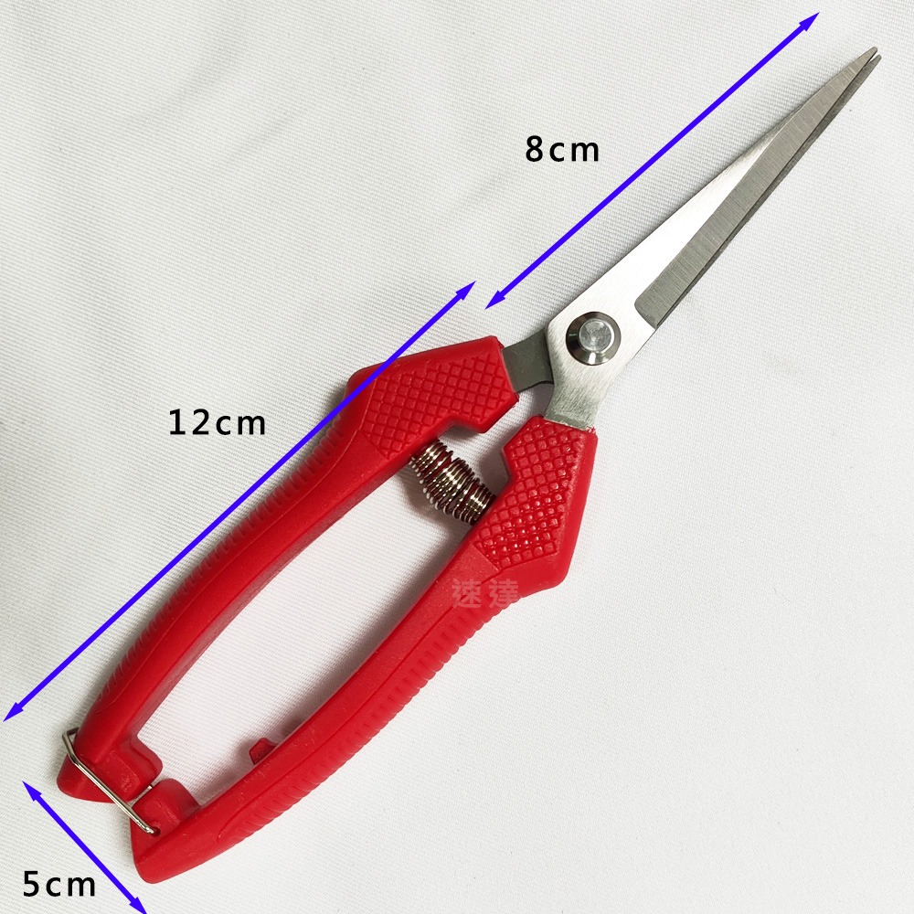 速達園藝 299全館免運 花剪 芽切剪 移植 換盆 修剪 枝條 花園 菜園 家庭 園藝 工具 萬用剪 剪刀-細節圖4