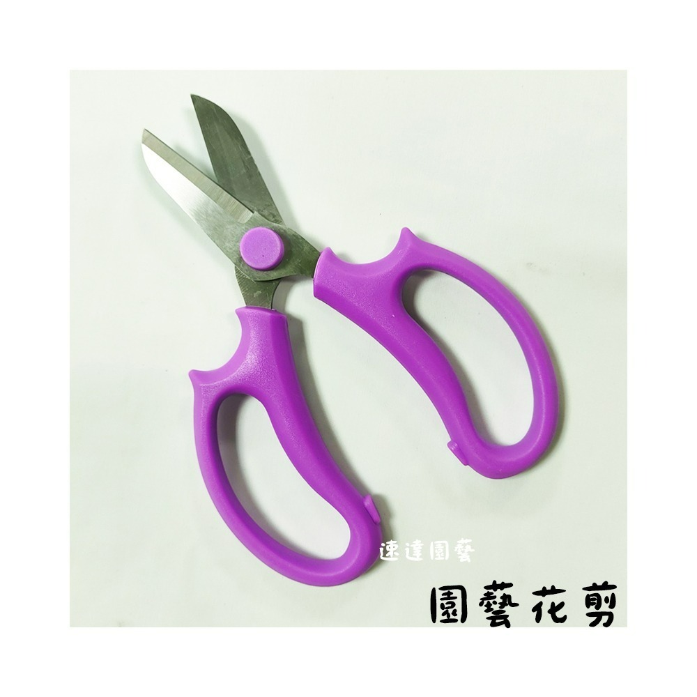 速達園藝 299全館免運 花剪 芽切剪 移植 換盆 修剪 枝條 花園 菜園 家庭 園藝 工具 萬用剪 剪刀-規格圖4