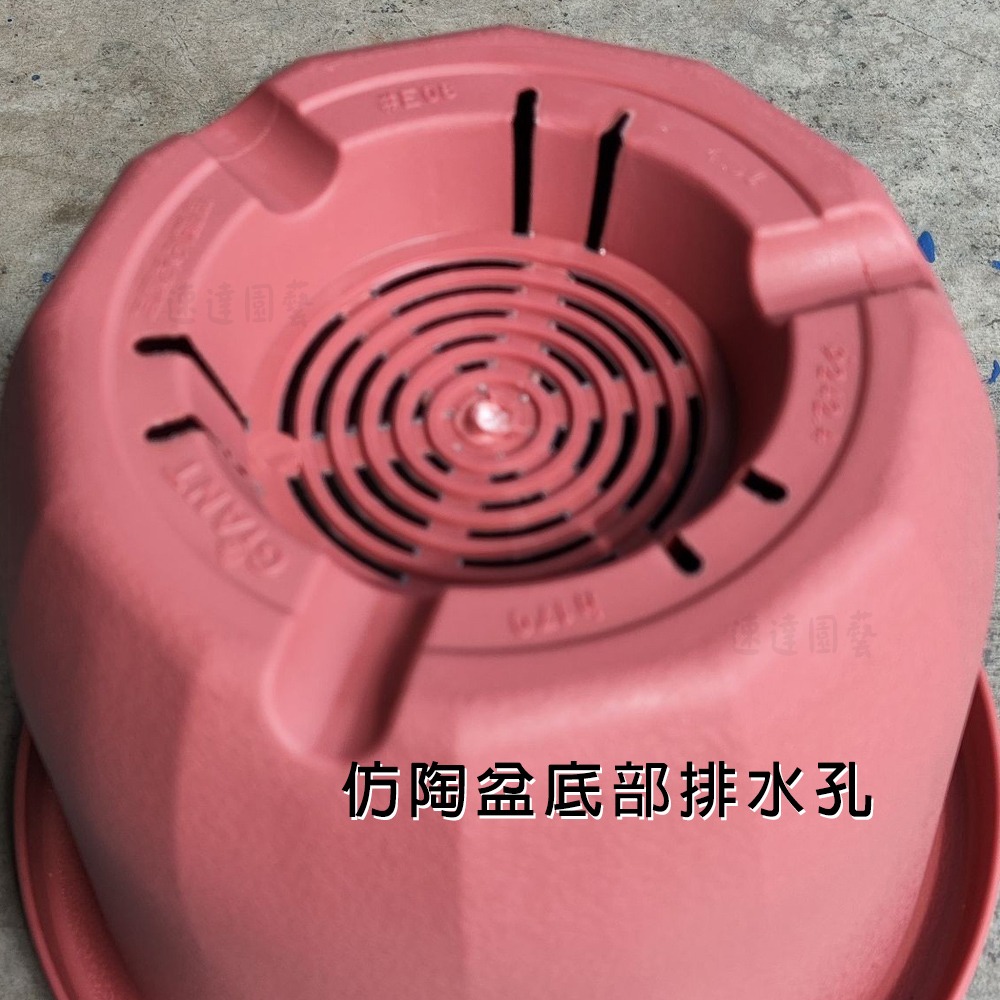 速達園藝 299全館免運 仿陶圓盆 MIT 家庭 蔬菜 水果 花卉 香草 蘭花 多肉 木本 移植 換盆 花盆-細節圖2