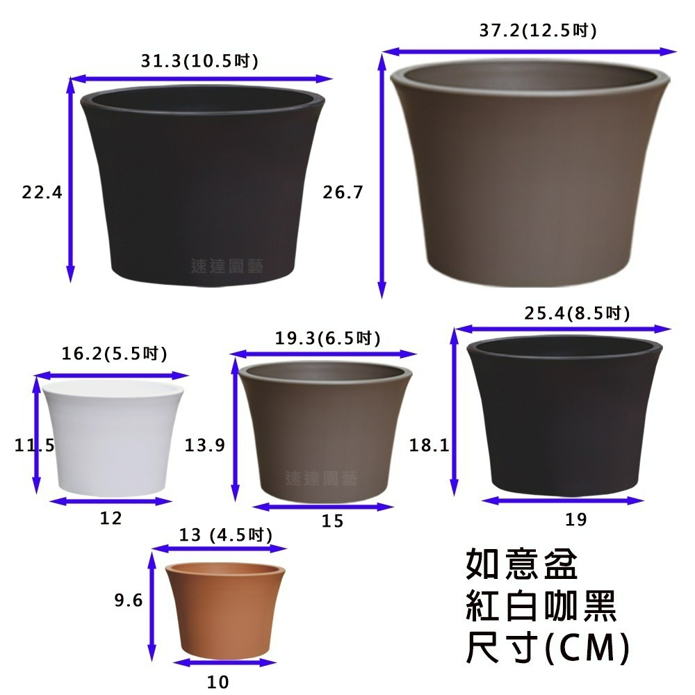 速達園藝 299全館免運 翠筠 如意盆 家庭 蔬菜 水果 花卉 香草 蘭花 多肉 植物 移植 換盆 花器 花盆-細節圖2