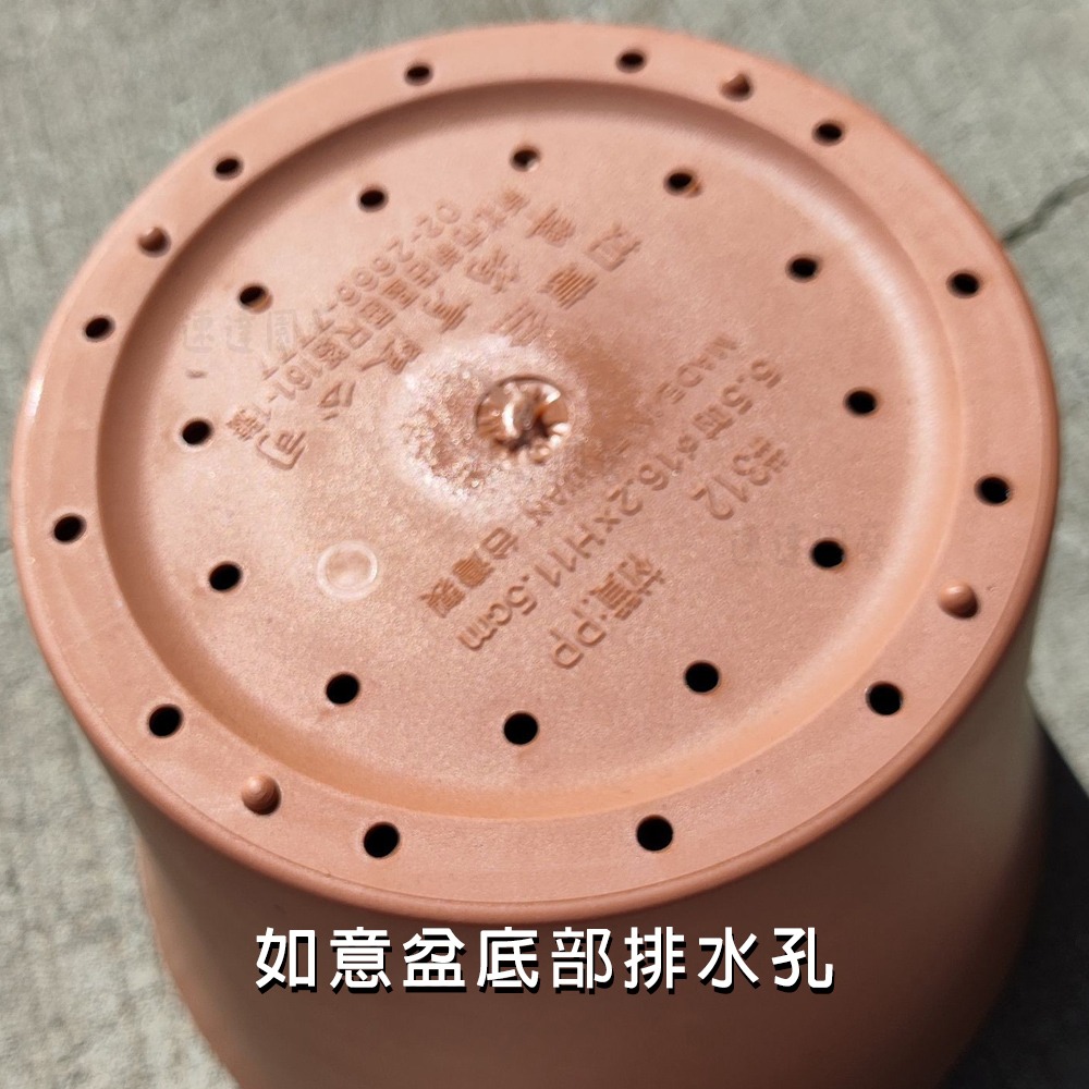 速達園藝 299全館免運 翠筠 如意盆 家庭 蔬菜 水果 花卉 香草 蘭花 多肉 植物 移植 換盆 花器 花盆-細節圖4