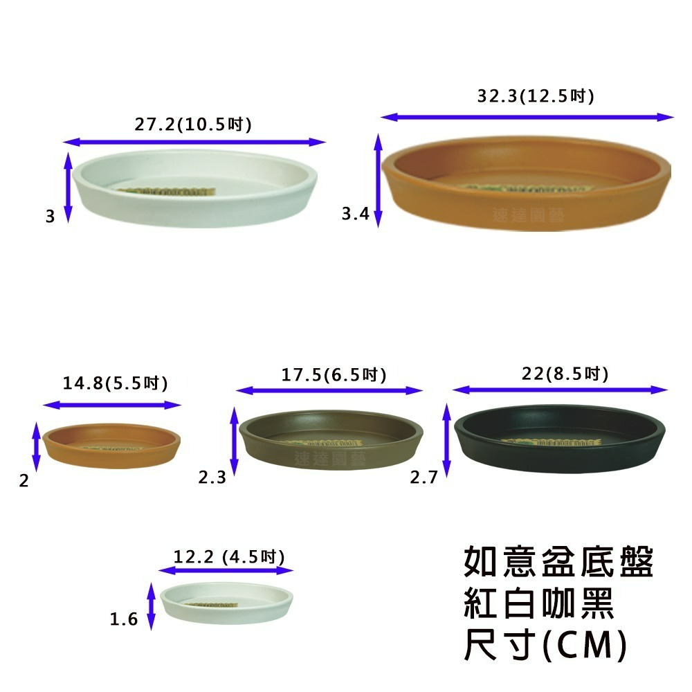 速達園藝 299全館免運 翠筠 如意底盤 家庭 蔬菜 水果 花卉 香草 蘭花 多肉 植物 移植 換盆 花器 花盆-細節圖2