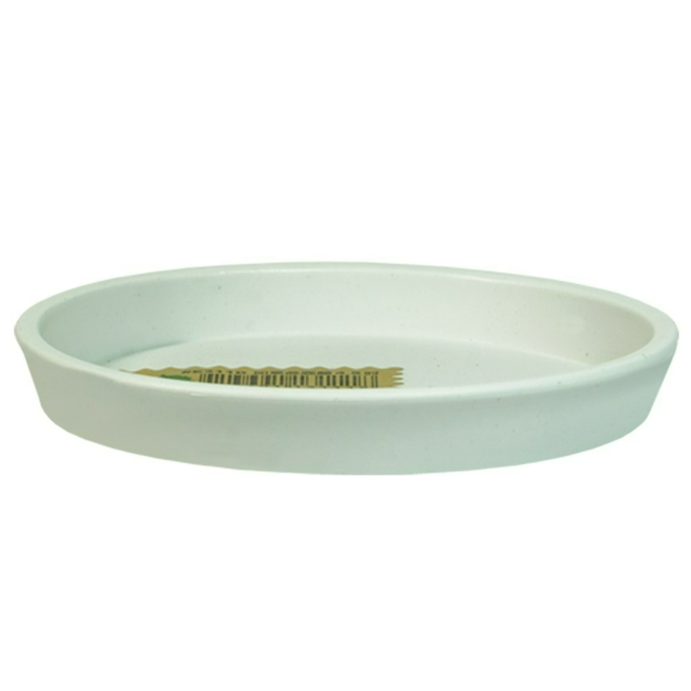 速達園藝 299全館免運 翠筠 如意底盤 家庭 蔬菜 水果 花卉 香草 蘭花 多肉 植物 移植 換盆 花器 花盆-規格圖2