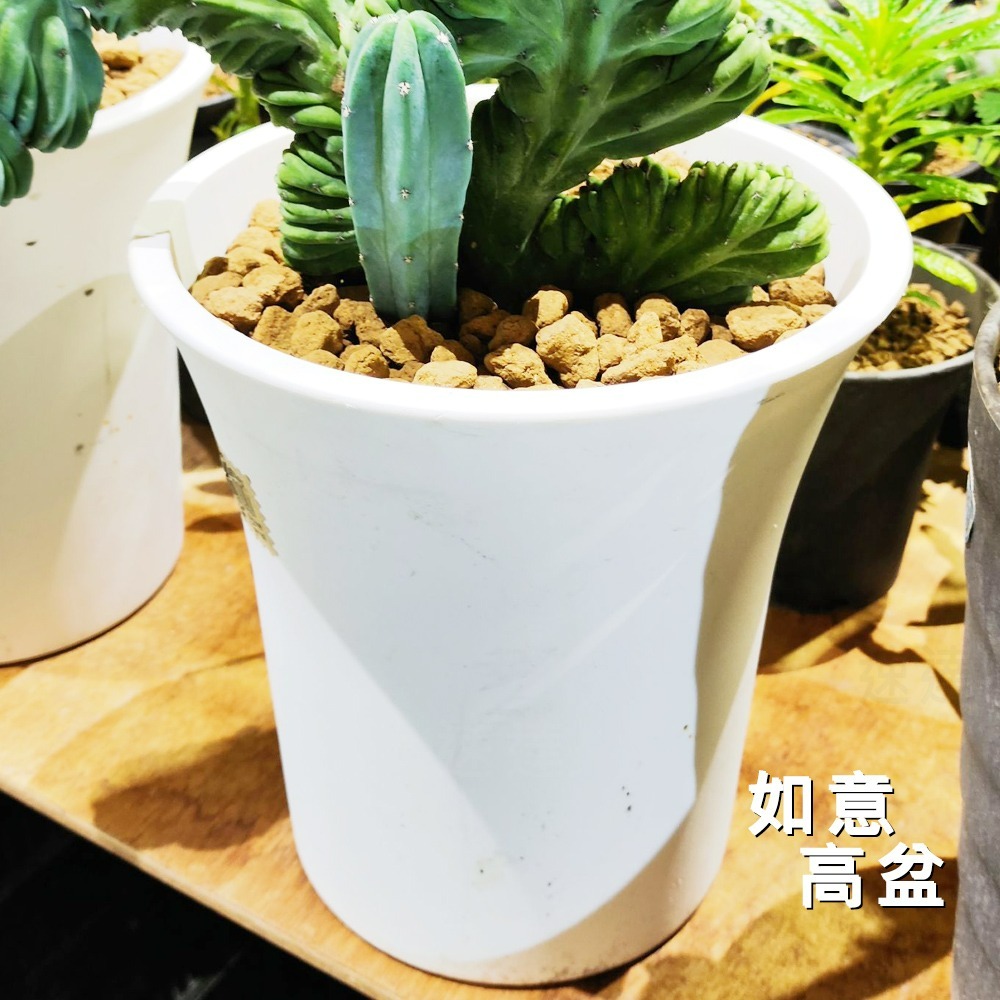 速達園藝 299全館免運 如意高盆 家庭 蔬菜 水果 花卉 香草 蘭花 多肉 植物 移植 換盆 花器 花盆-細節圖3