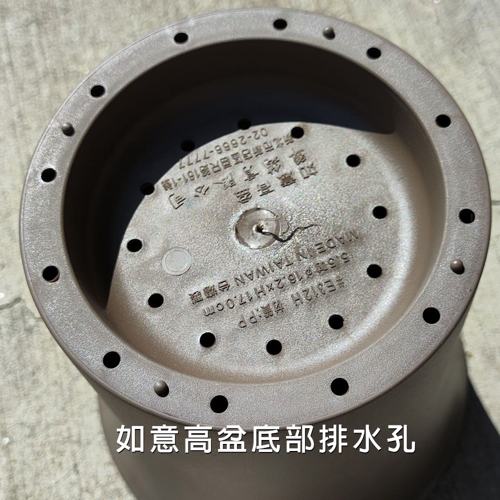 速達園藝 299全館免運 如意高盆 家庭 蔬菜 水果 花卉 香草 蘭花 多肉 植物 移植 換盆 花器 花盆-細節圖4