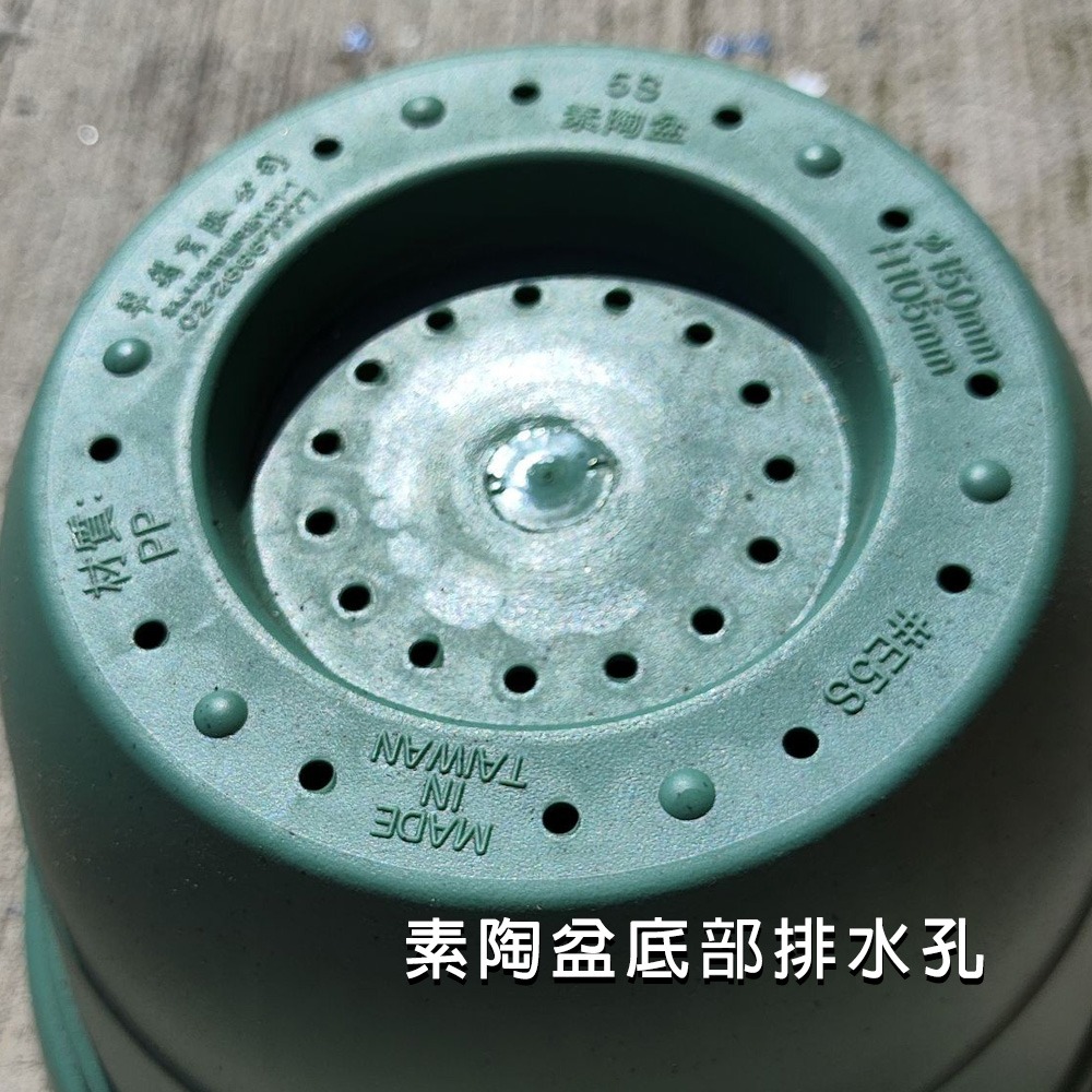 速達園藝 299全館免運 素陶盆 矮盆 草花 觀葉 開花 蘭花 花卉 多肉 園藝 植物 種植 花盆-細節圖2