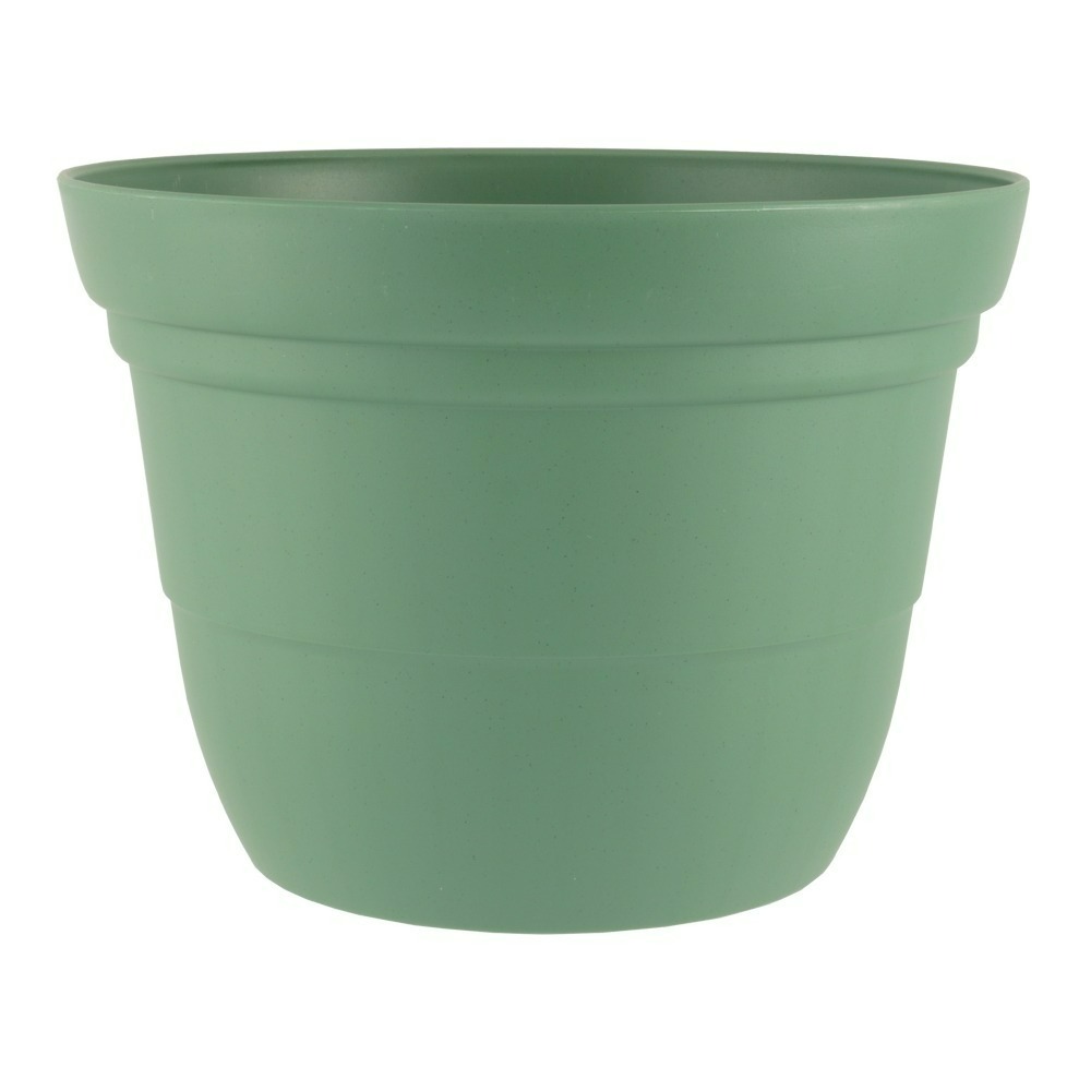 速達園藝 299全館免運 素陶盆 矮盆 草花 觀葉 開花 蘭花 花卉 多肉 園藝 植物 種植 花盆-規格圖2