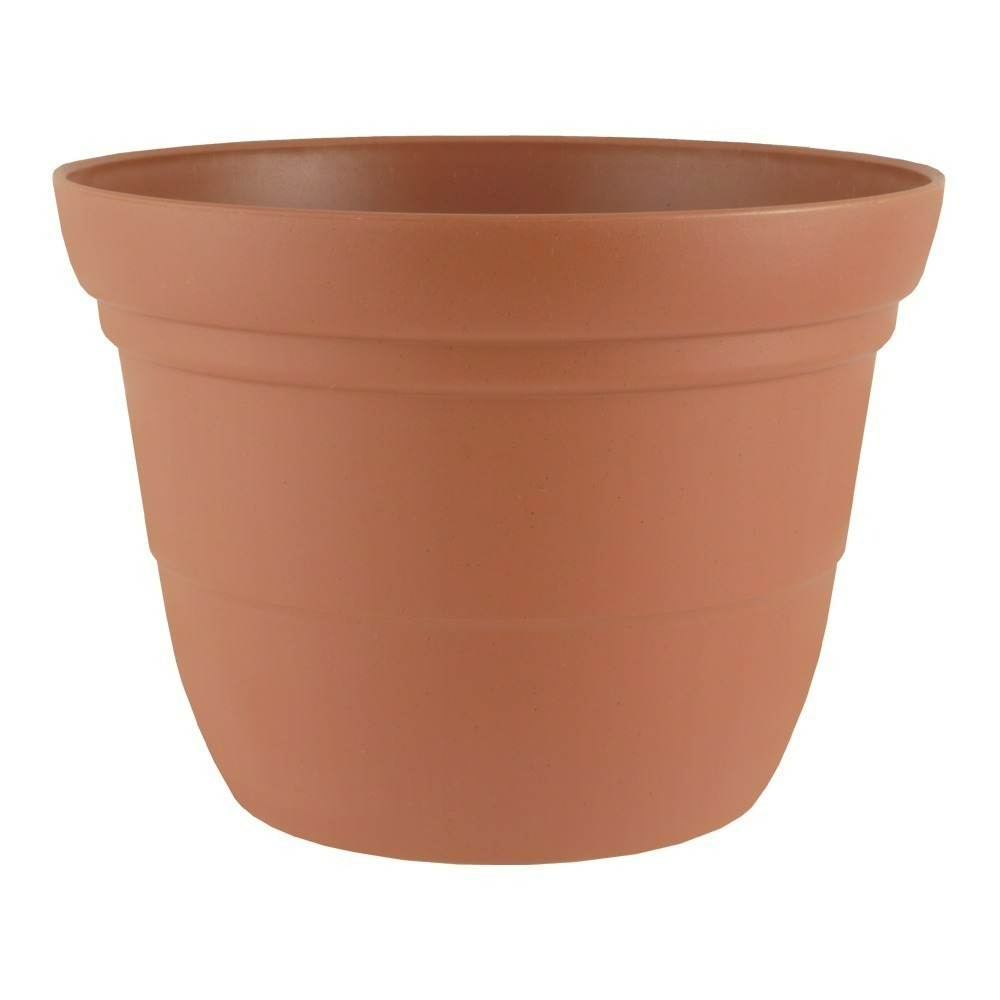 速達園藝 299全館免運 素陶盆 矮盆 草花 觀葉 開花 蘭花 花卉 多肉 園藝 植物 種植 花盆-規格圖2