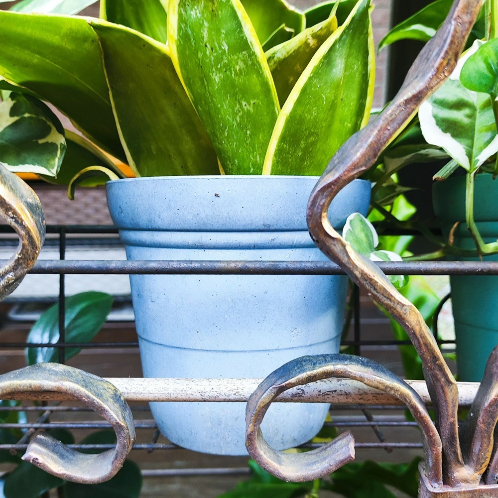 速達園藝 299全館免運 素陶高盆 高盆 高盆 草花 觀葉 開花 蘭花 花卉 多肉 園藝 植物 種植 花盆-細節圖2