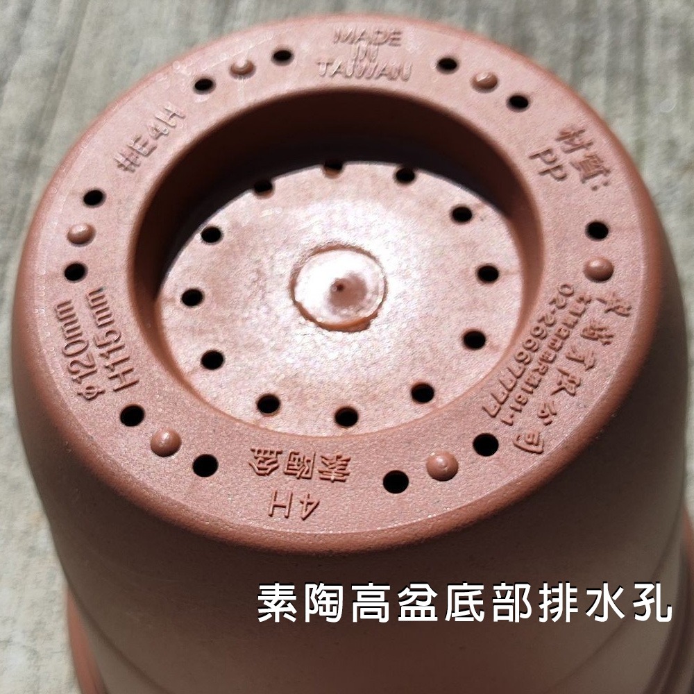 速達園藝 299全館免運 素陶高盆 高盆 高盆 草花 觀葉 開花 蘭花 花卉 多肉 園藝 植物 種植 花盆-細節圖3