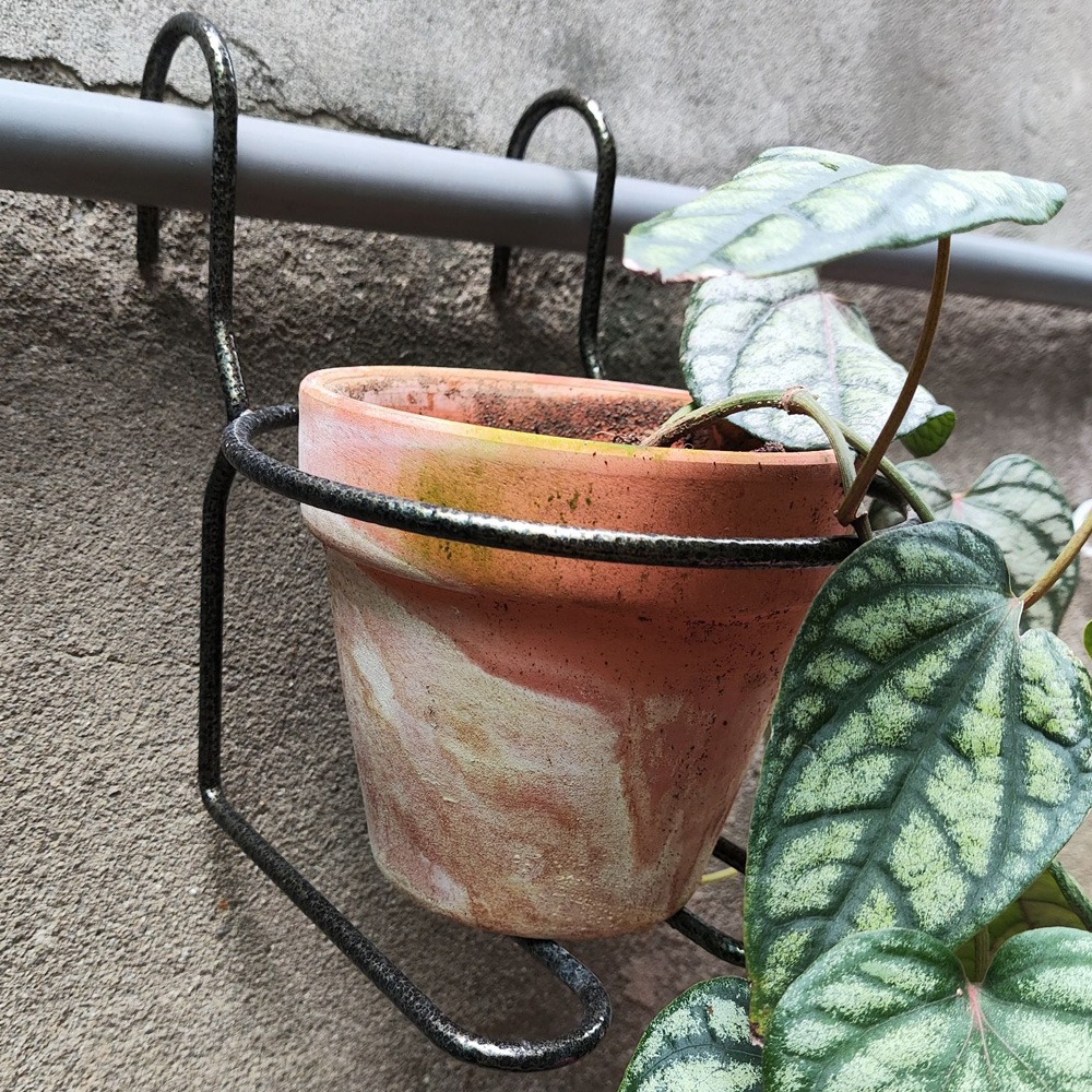 速達園藝 299全館免運  迷你鐵窗掛勾 3吋 黑 白 古銅 MIT 鐵架 花卉 吊掛 花盆 花架-細節圖2