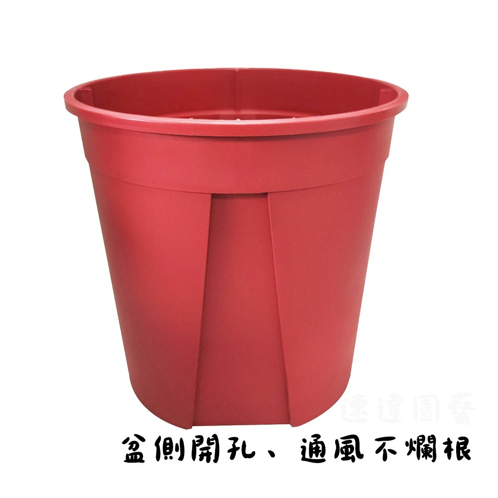 速達園藝 299全館免運 斷根盆 控根盆 青山盆 荷蘭盆 紅盆 台灣製 MIT 3 5 6 吋 花盆-規格圖3