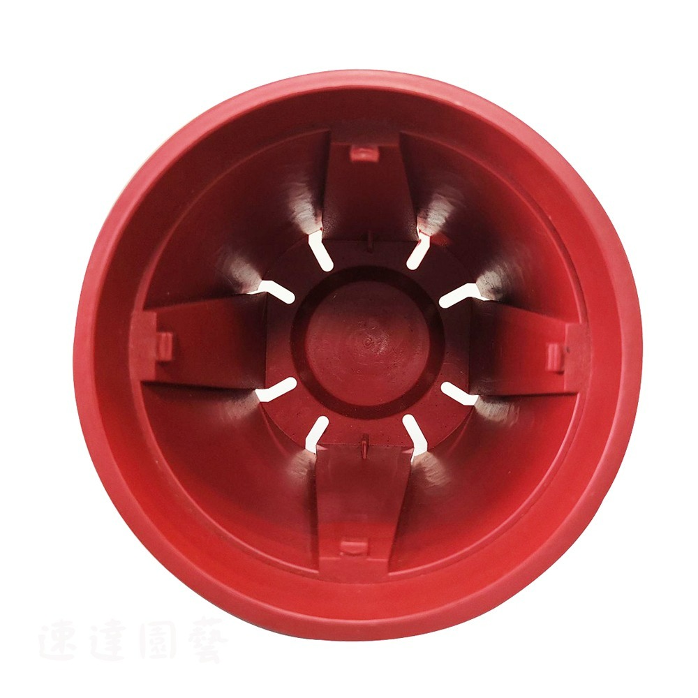 速達園藝 299全館免運 斷根盆 控根盆 青山盆 荷蘭盆 紅盆 台灣製 MIT 3 5 6 吋 花盆-規格圖3