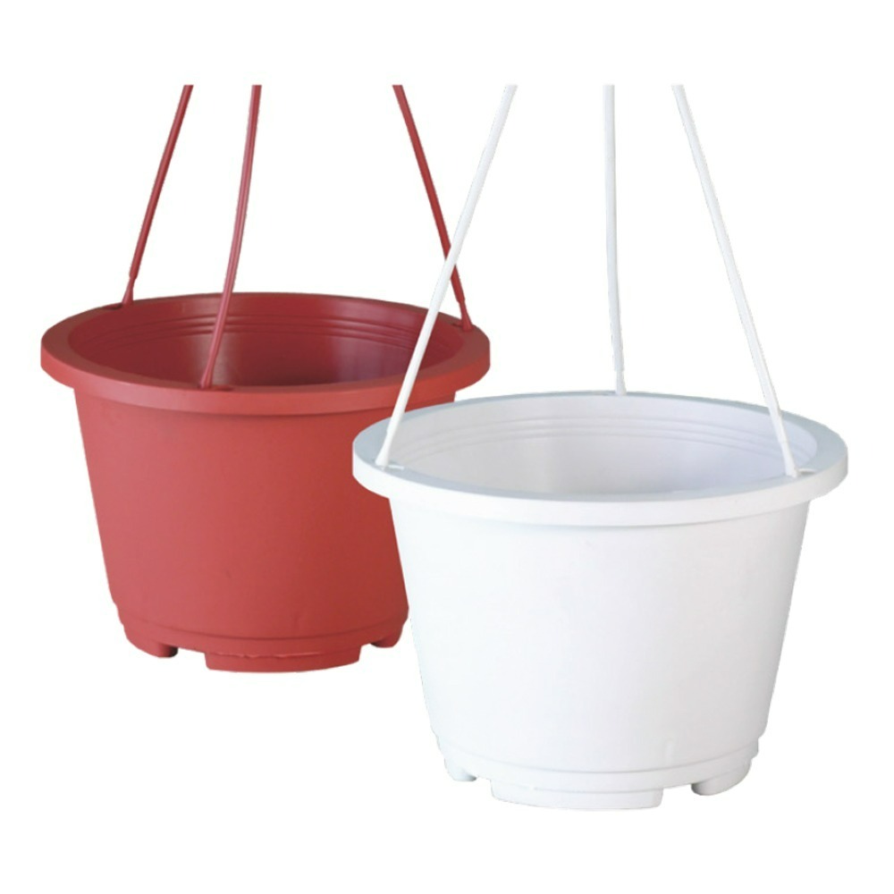 速達園藝 299全館免運 馬卡龍 吊盆 壁掛 種植 垂藤 多肉 觀葉 開花 植物 花盆-規格圖4