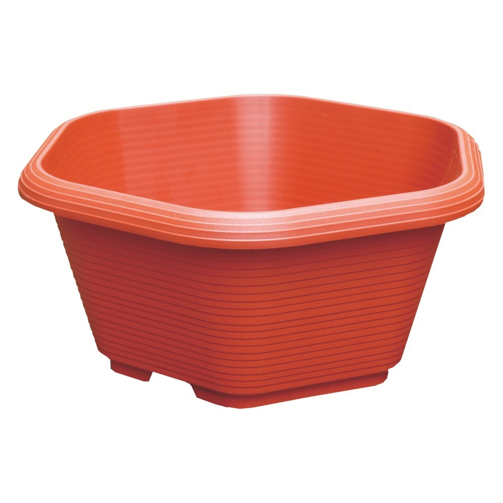 速達園藝 299全館免運 六角盆 米 黑 紅 多肉 草花 仙人掌 小品 盆栽 組盆 花盆 塑膠花盆-規格圖2