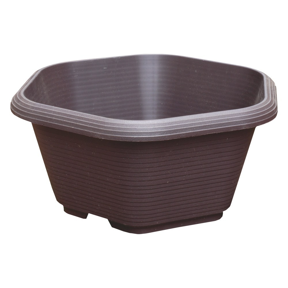 速達園藝 299全館免運 六角盆 米 黑 紅 多肉 草花 仙人掌 小品 盆栽 組盆 花盆 塑膠花盆-規格圖2