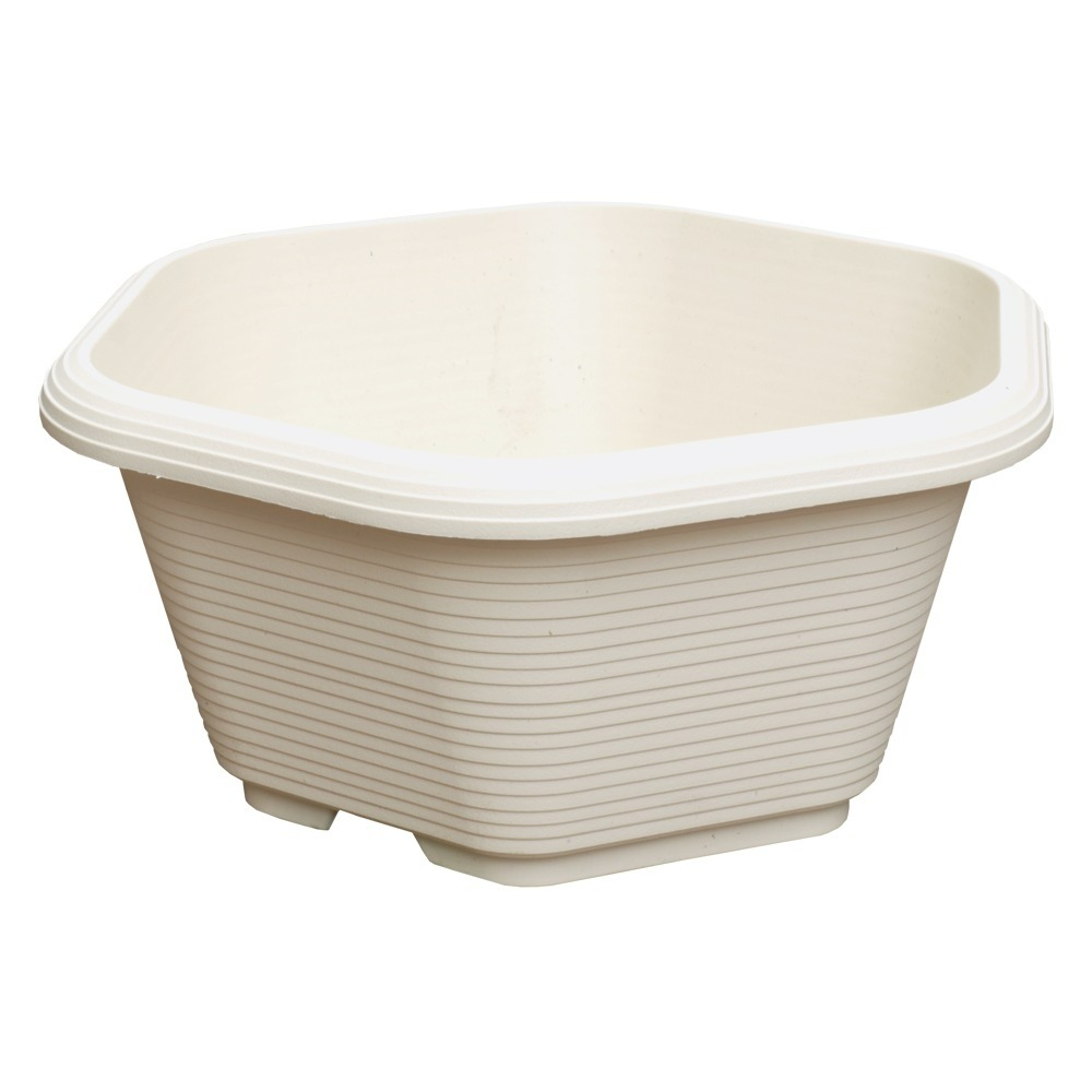 速達園藝 299全館免運 六角盆 米 黑 紅 多肉 草花 仙人掌 小品 盆栽 組盆 花盆 塑膠花盆-規格圖2