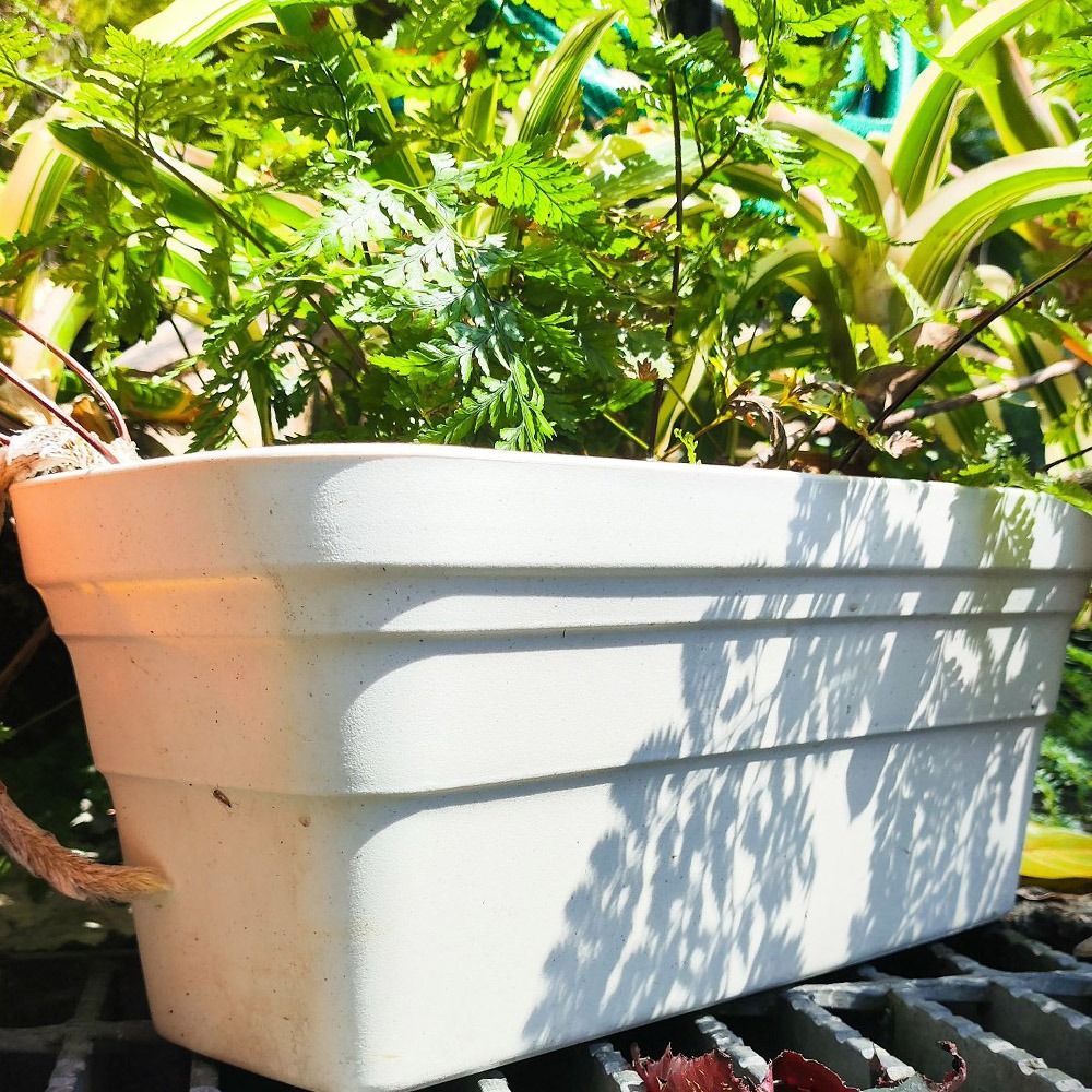 速達園藝 299全館免運 彩陶花槽 長形花槽 附底網 水盤 底盤 底皿 方盆 長盆 菜槽 長槽 花槽-細節圖3