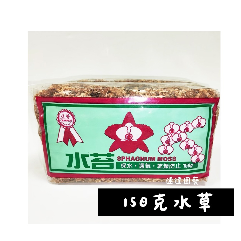 速達園藝 299全館免運 水草 水苔 蘭花 氣根 介質 水耕 煉石 栽培 園藝 小品 盆栽 植栽 國蘭 蝴蝶蘭-規格圖2