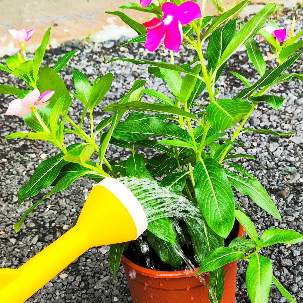 速達園藝 299全館免運 園藝 花灑 1.5 公升 打掃 清潔 洗車 工具 花灑 澆花 顏色隨機出-細節圖2