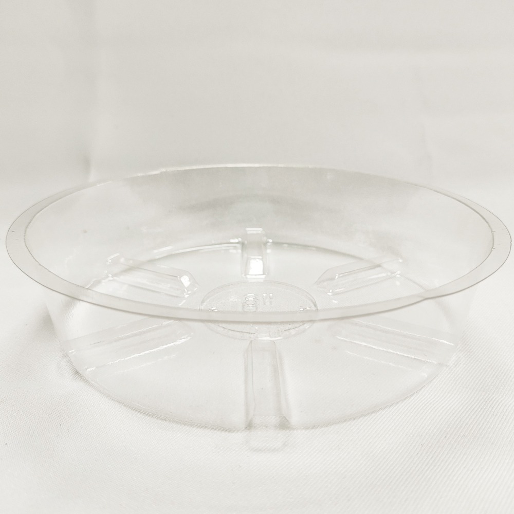 速達園藝 299全館免運 透明底盤 水盤 圓盤 托盤 儲水盤 接水盤 水生水耕 花器 底皿-規格圖1